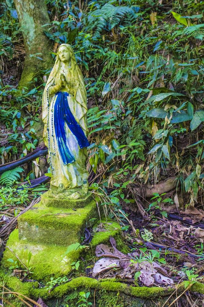 Photograph by Régis Santos