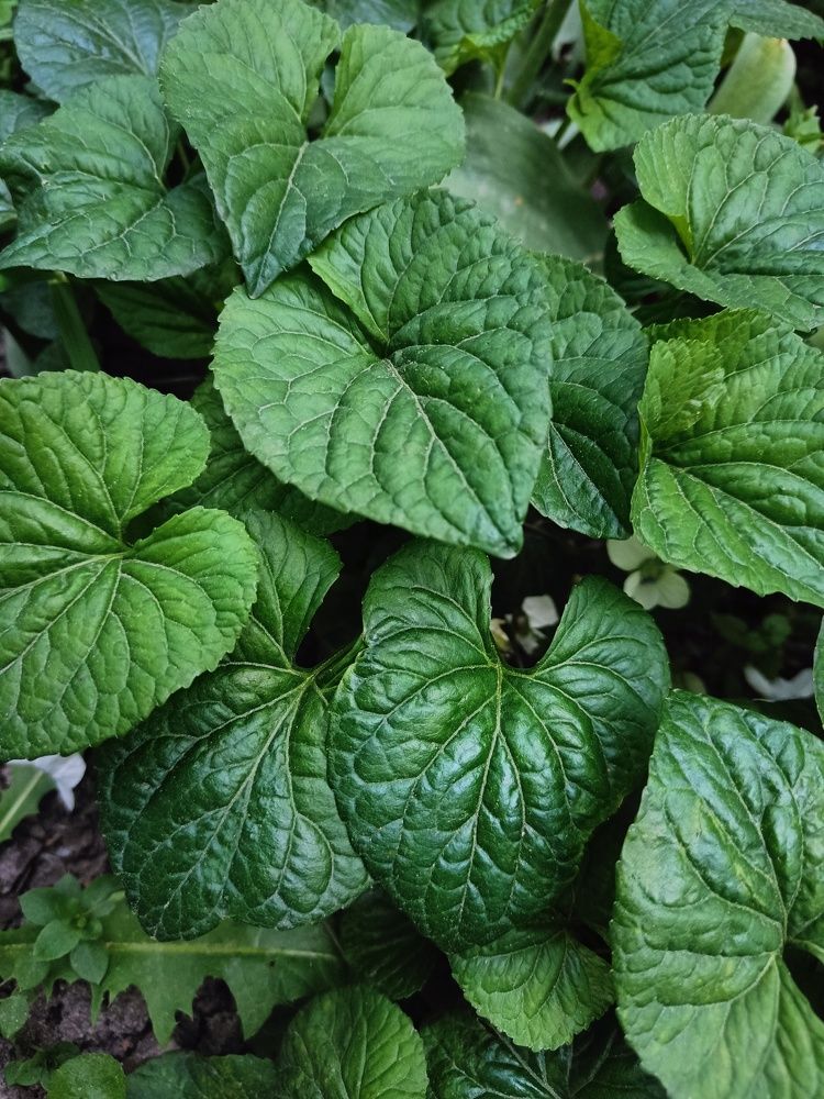 Photograph by Карина Слабкая