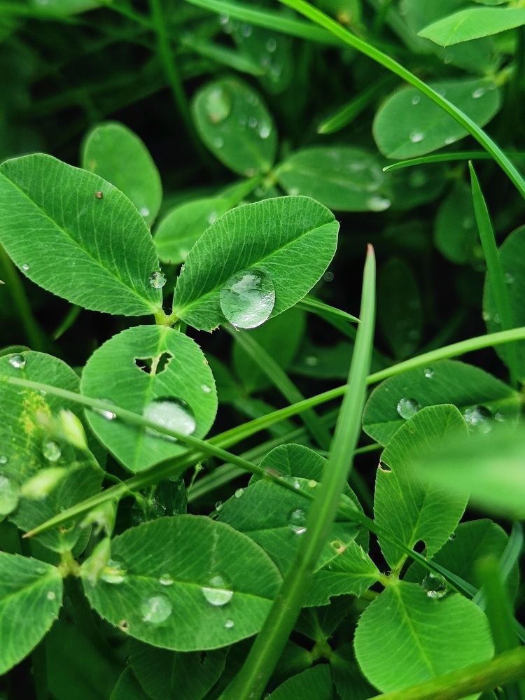 Photograph by Карина Слабкая