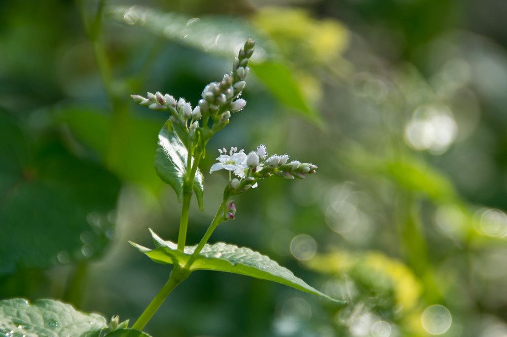 Фотография автора Юлия Кранина