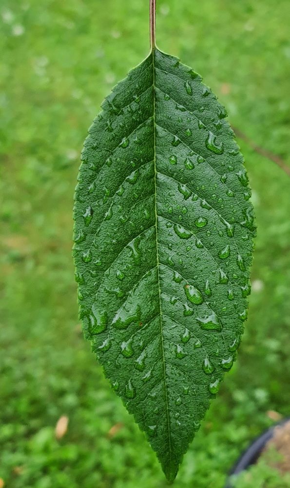 Photograph by Виктория Образцова
