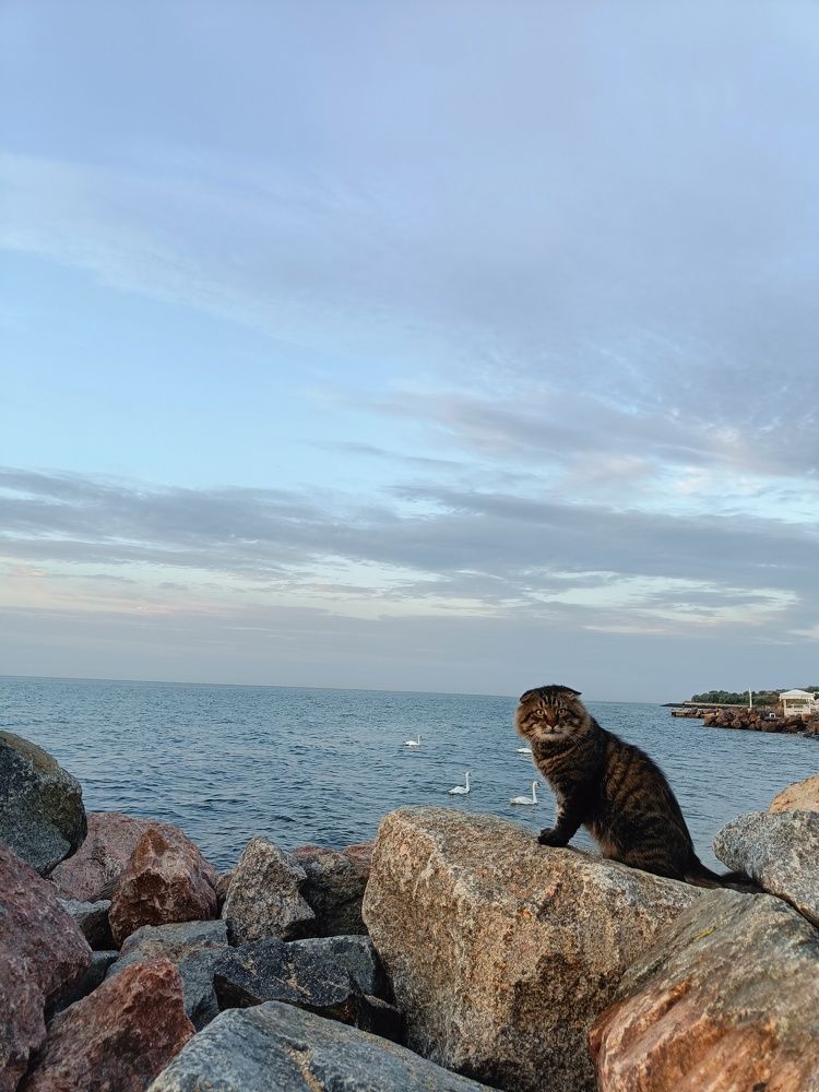 Photograph by Карина Слабкая