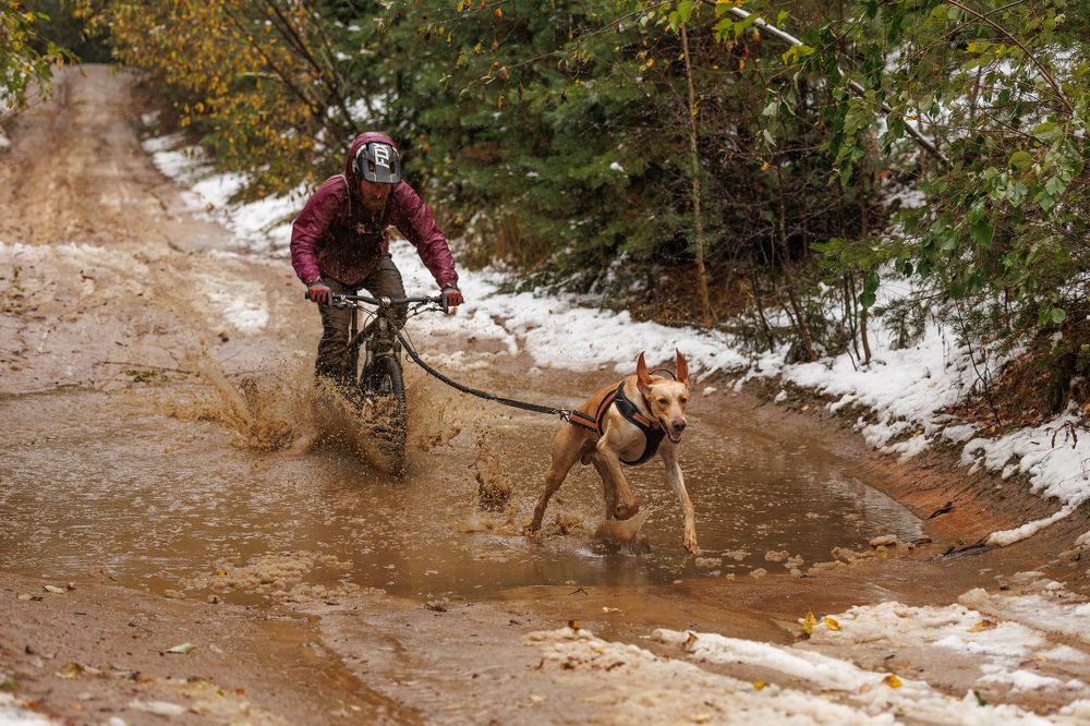 Photograph by Илья Юфа