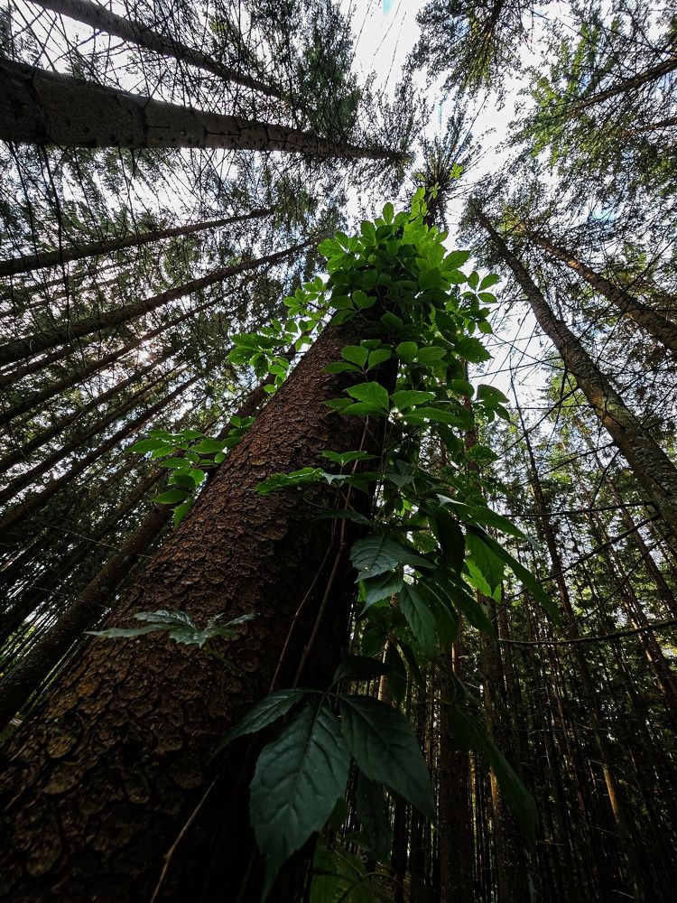 Photograph by Татьяна Соколовская