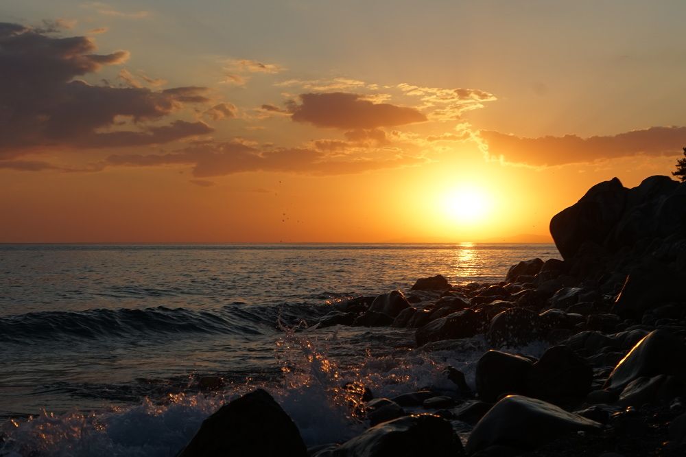 Photograph by сергей мишаков