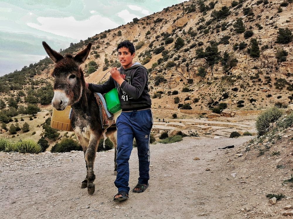 Photograph by Azzeddine Memmou