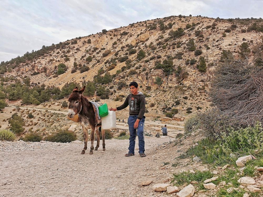 Photograph by Azzeddine Memmou