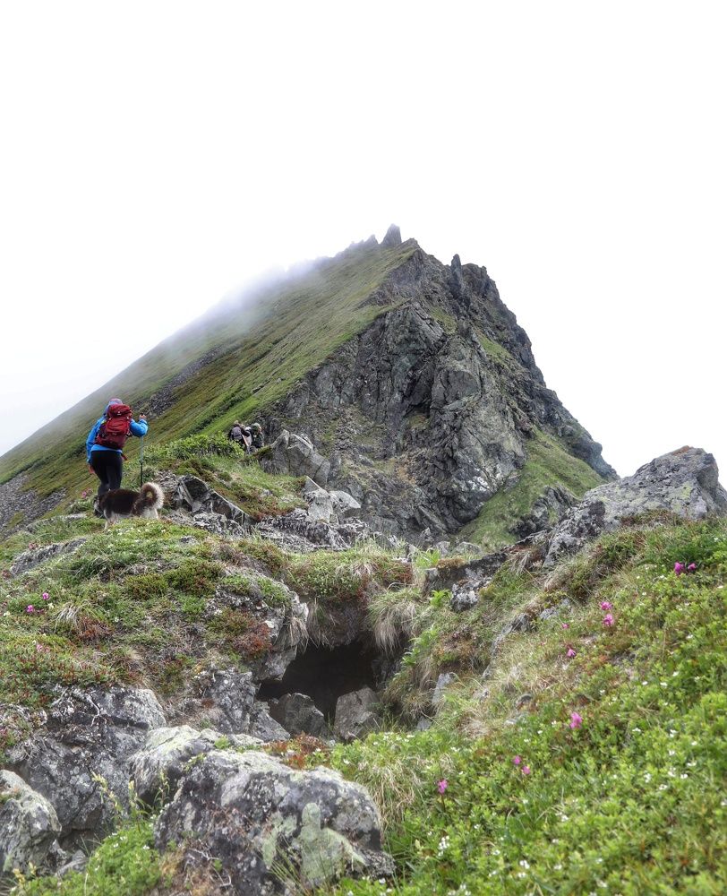 Фотография автора Юлия Егорова