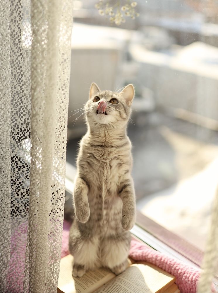 Photograph by Наталья Гусева