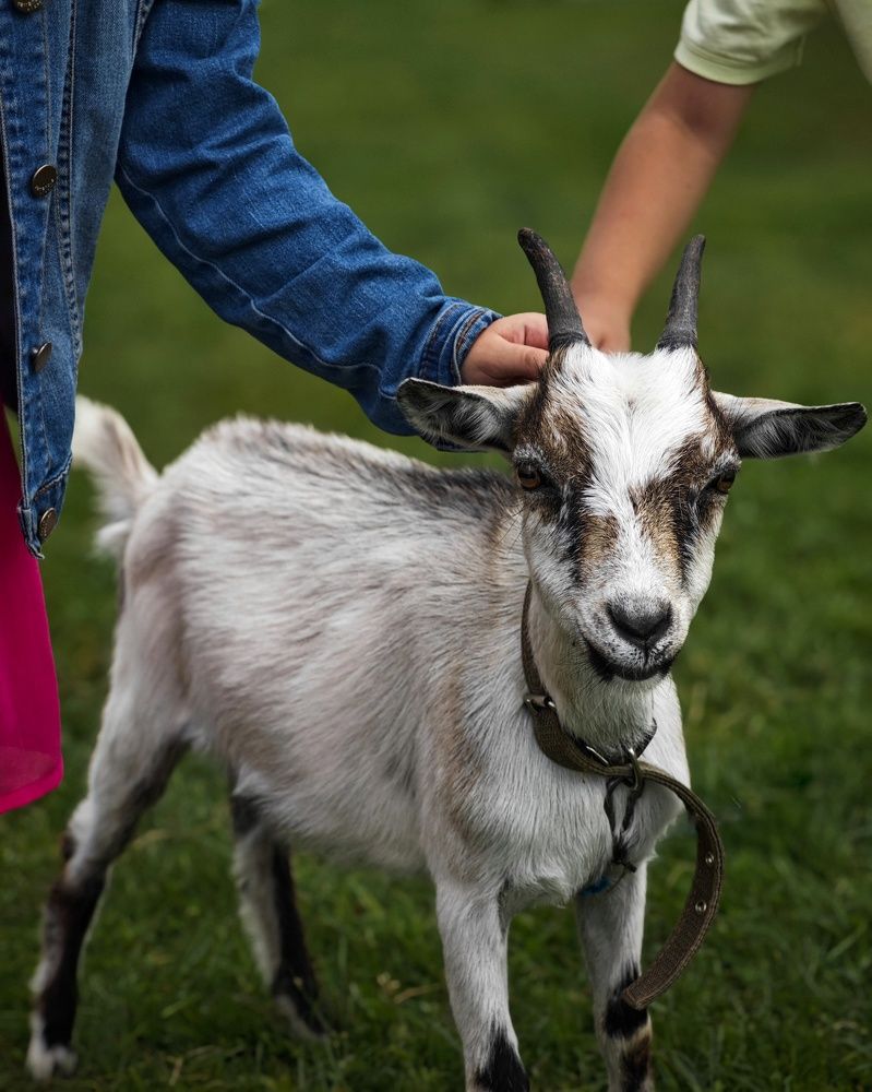 Photograph by Татьяна Соколовская