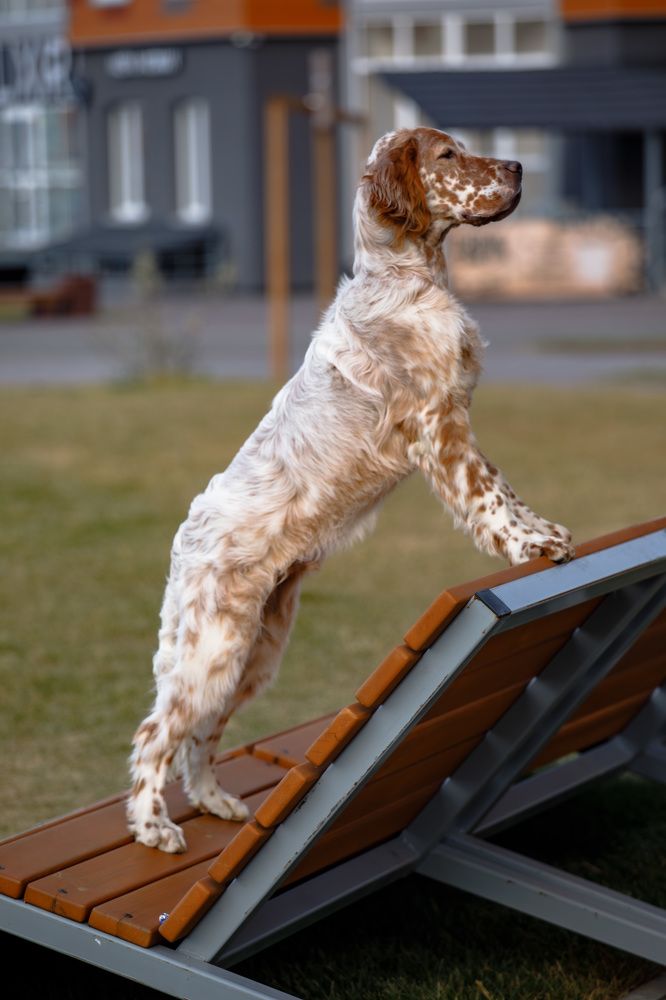 Photograph by Екатерина Козловская