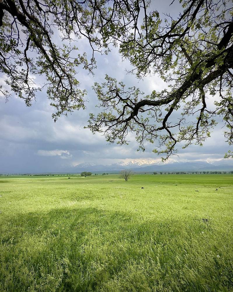 Photograph by Ольга Бибекина