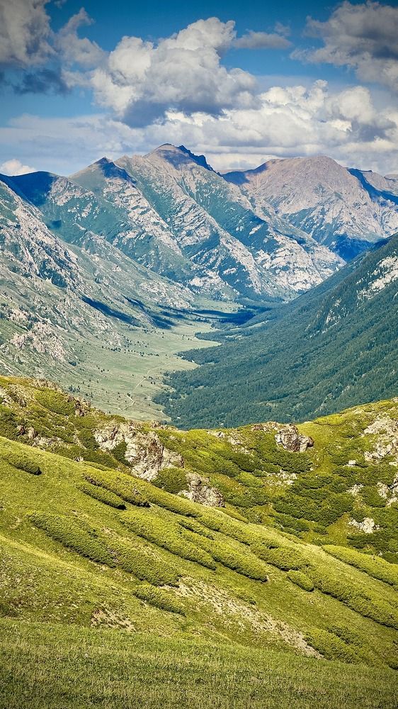 Photograph by Ольга Бибекина