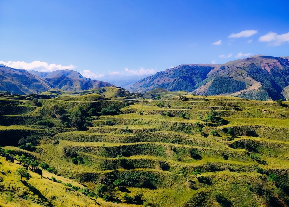 Photograph by Алёна Пшеленская