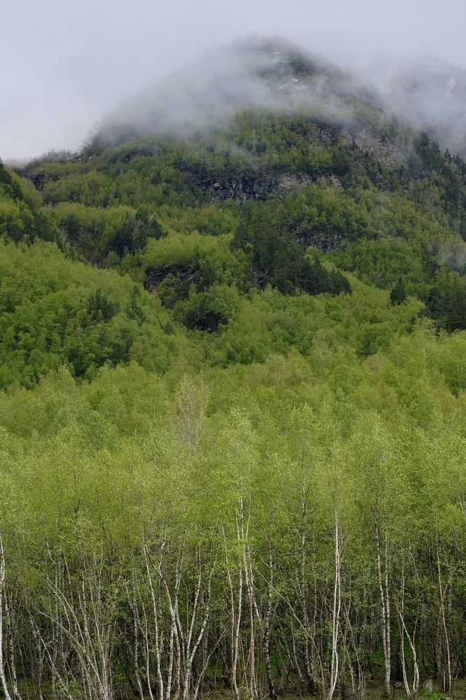 Photograph by Медведев Антон