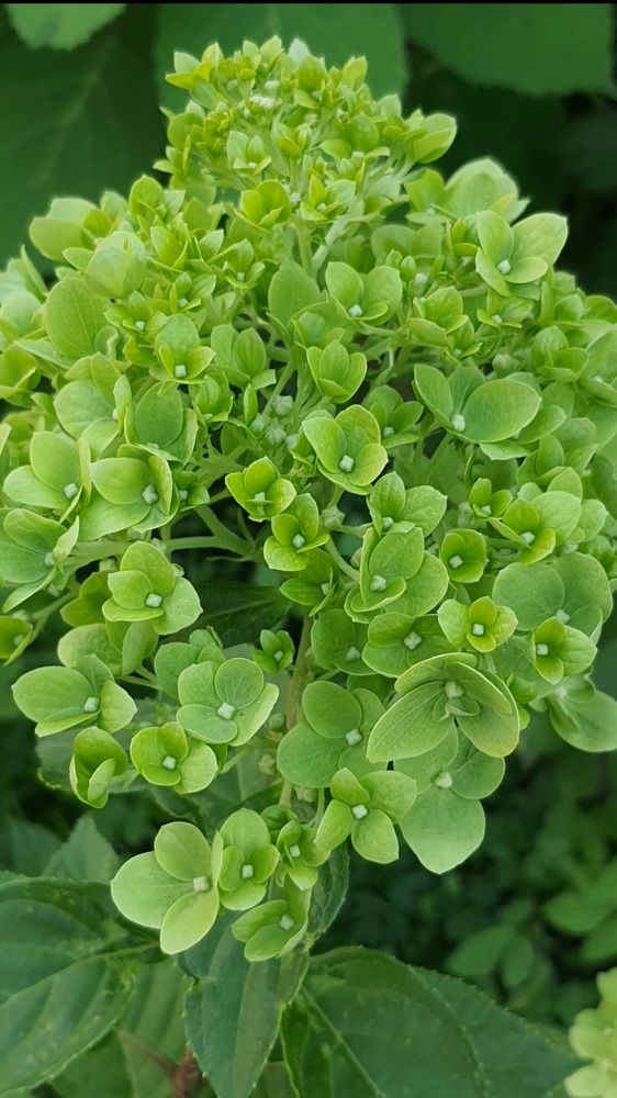 Photograph by Виктория Образцова