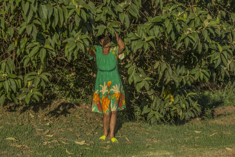 Photograph by Régis Santos