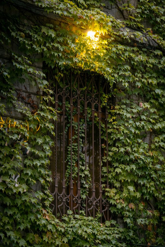 Photograph by Mostafa Moradi