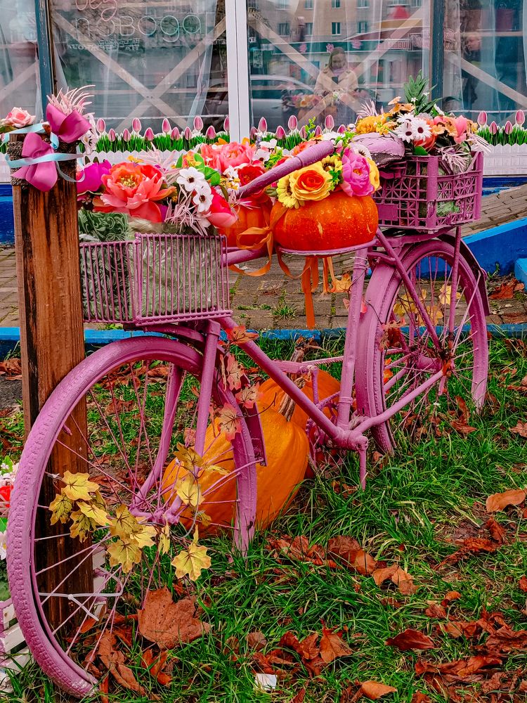 Фотография автора Любовь