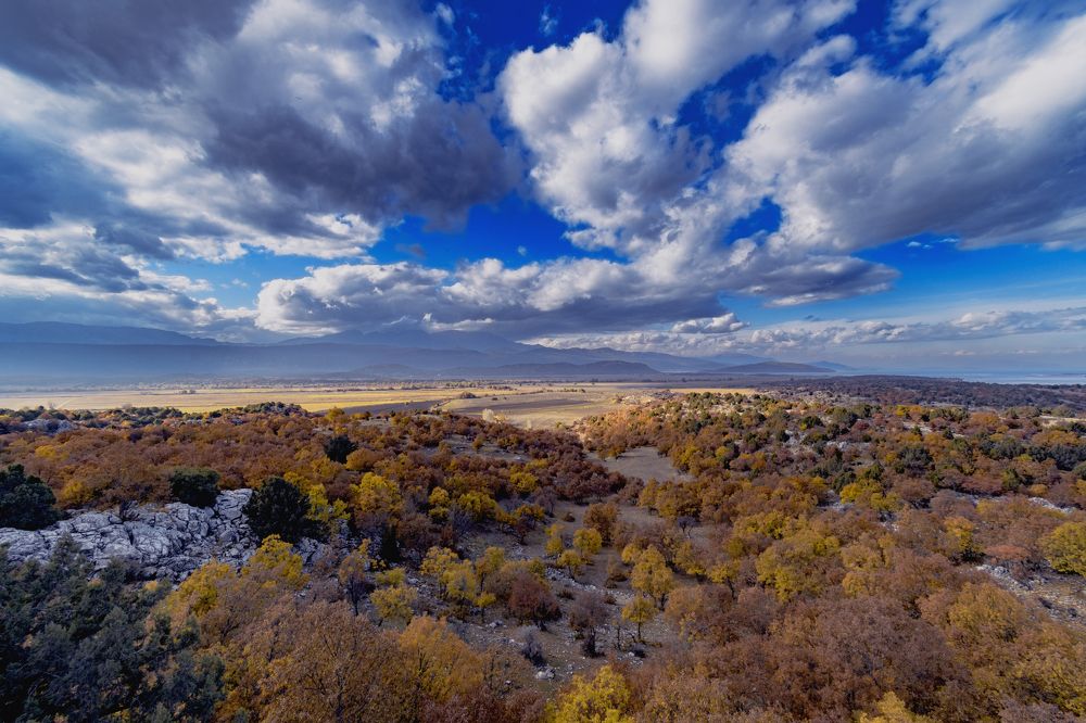 Фотография автора Андрей Жданов