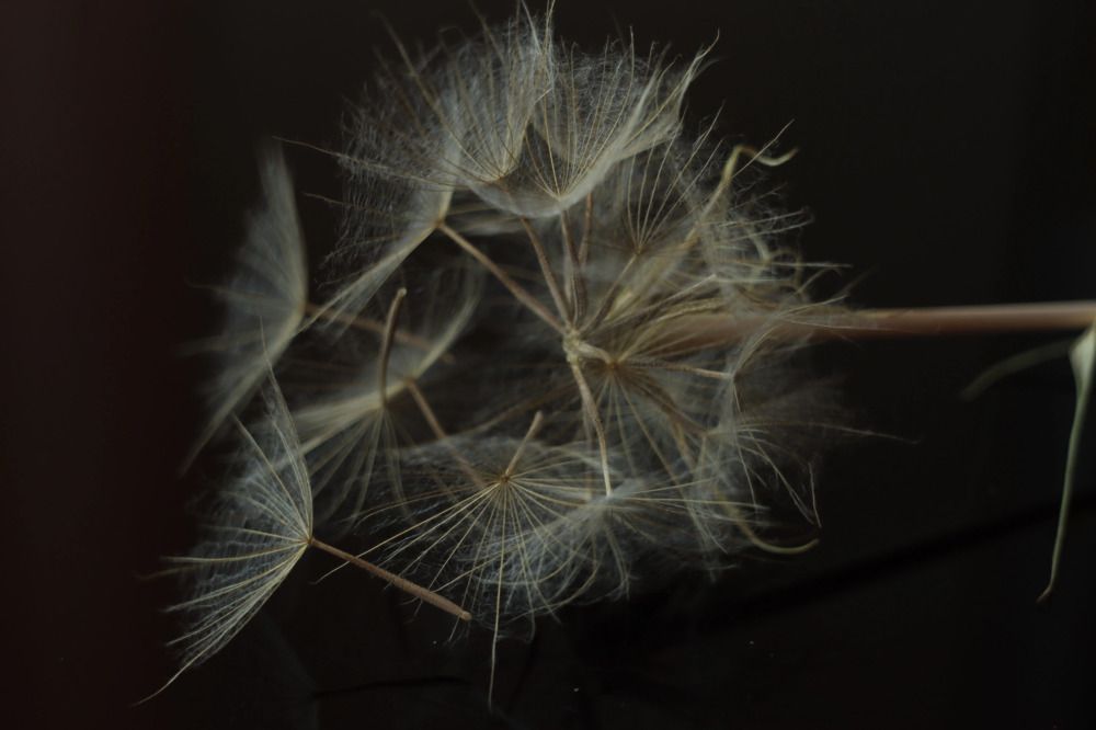 Photograph by Inna Klimaševska