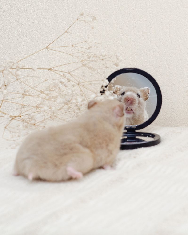 Photograph by Юлия Сидорова