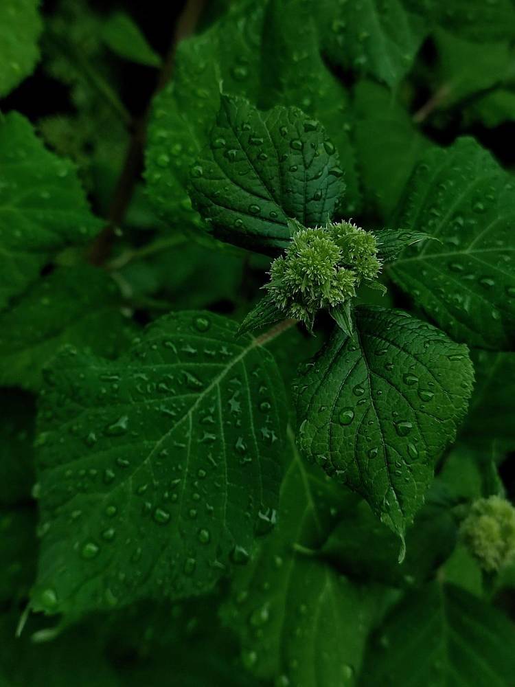 Фотография автора Мария Филиппова