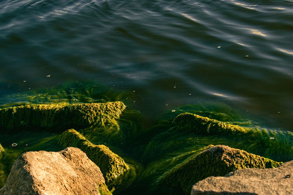 Photograph by Kanat Amre