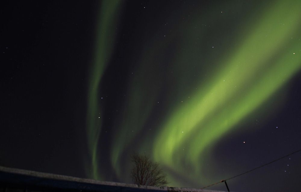 Фотография автора Светлана Терехова