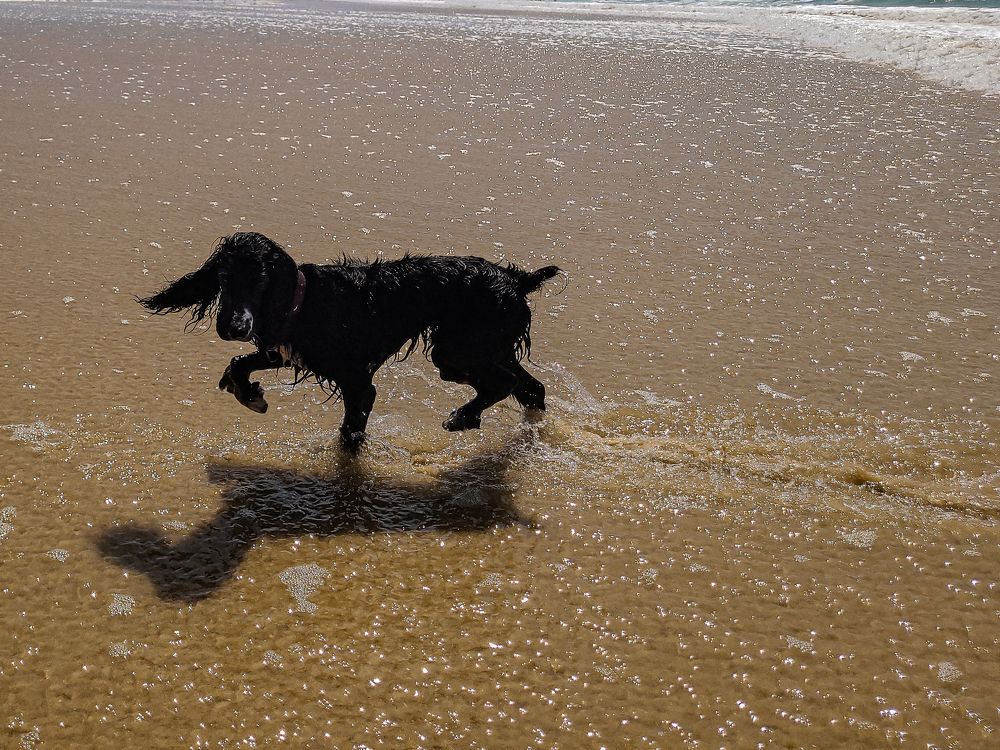 Photograph by Tatiana Aleksandrova