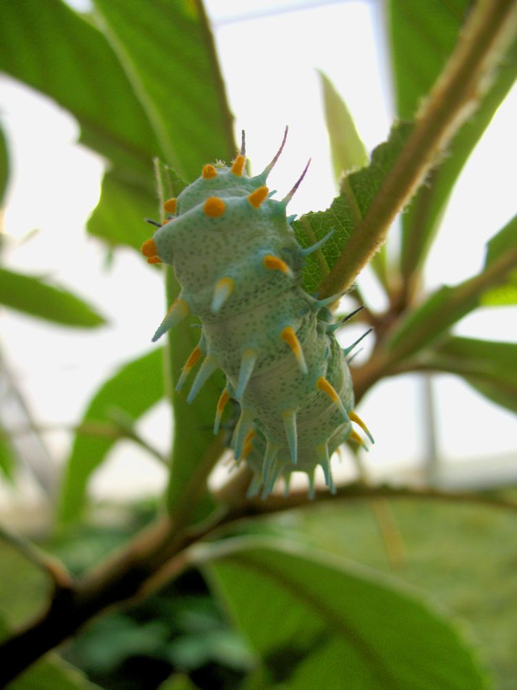 Photograph by Anton Hantov