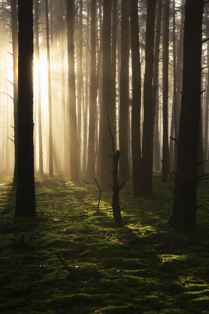 Photograph by Захаров Дмитрий