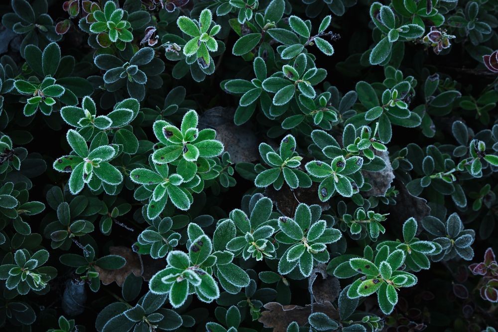 Photograph by Захаров Дмитрий