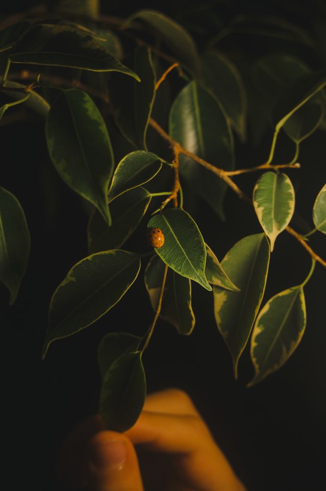 Photograph by Светлана Бачеко