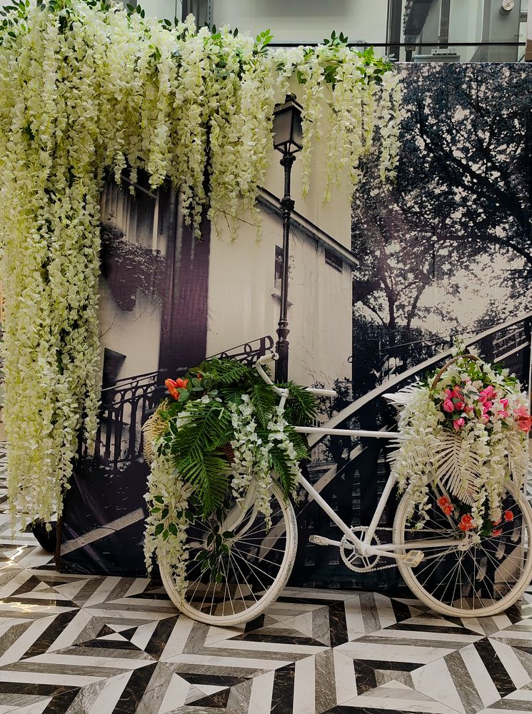 Фотография автора Любовь