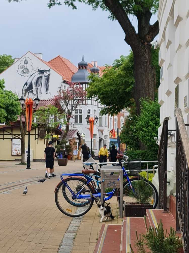 Photograph by Наталья Иванова