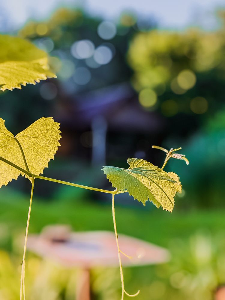 Фотография автора Любовь