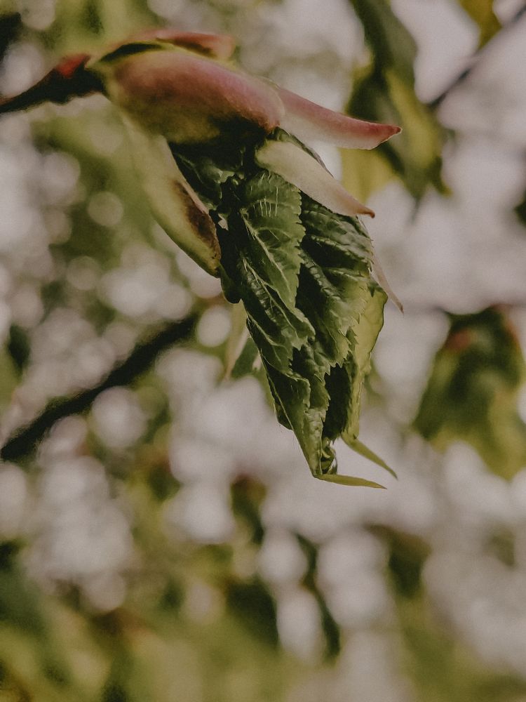 Фотография автора Любовь