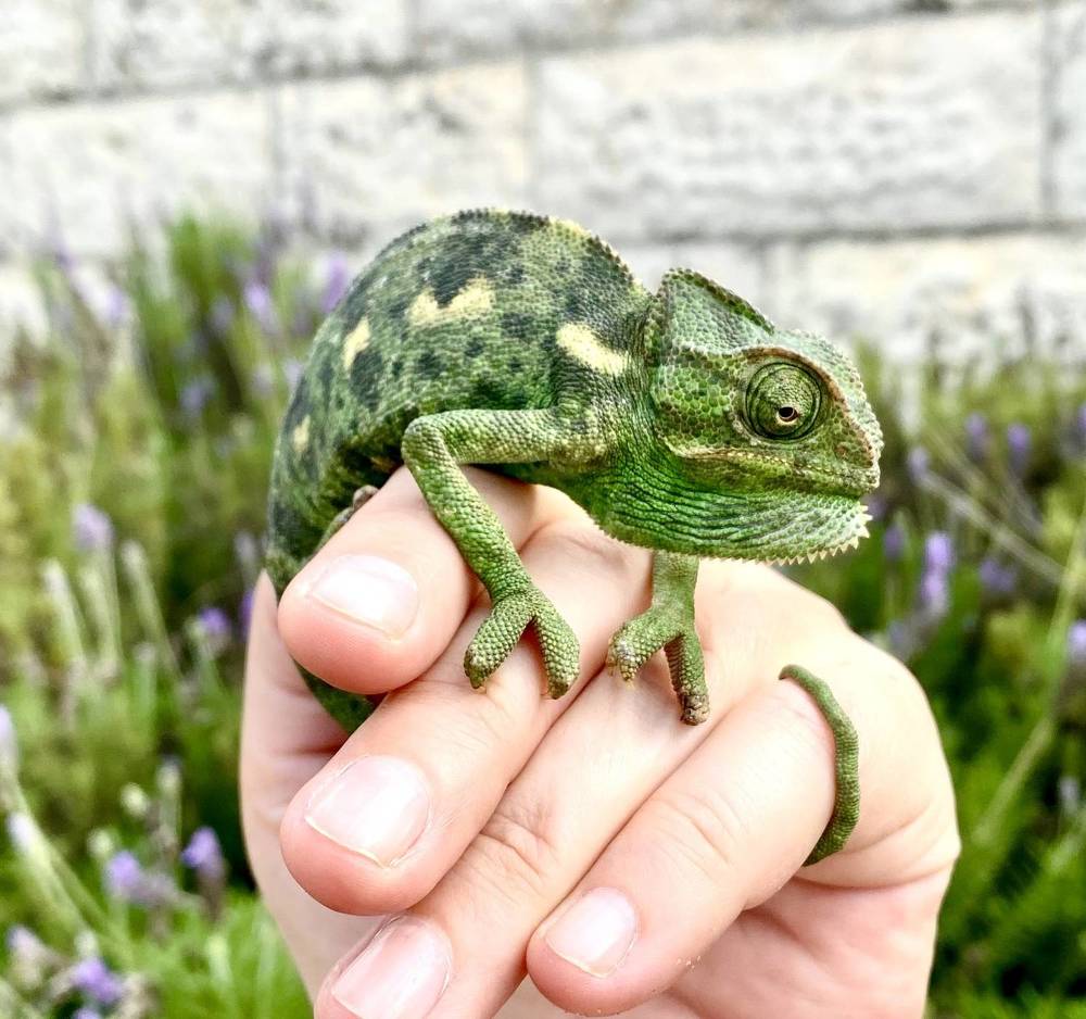 Фотография автора Galina Sa