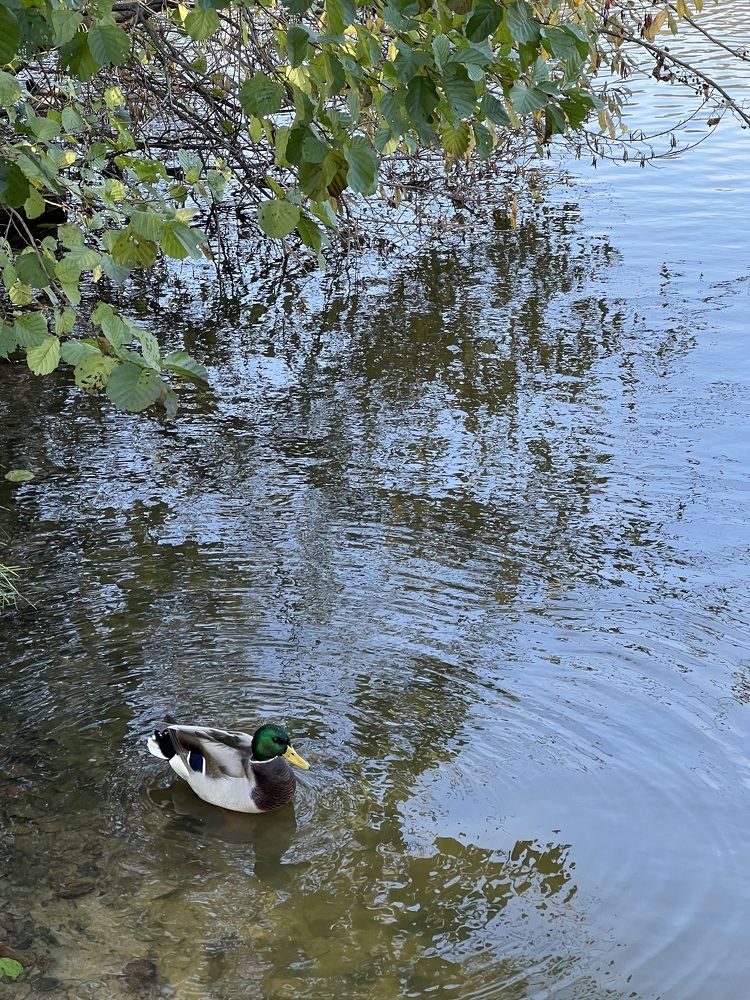 Photograph by Анастасия Германова