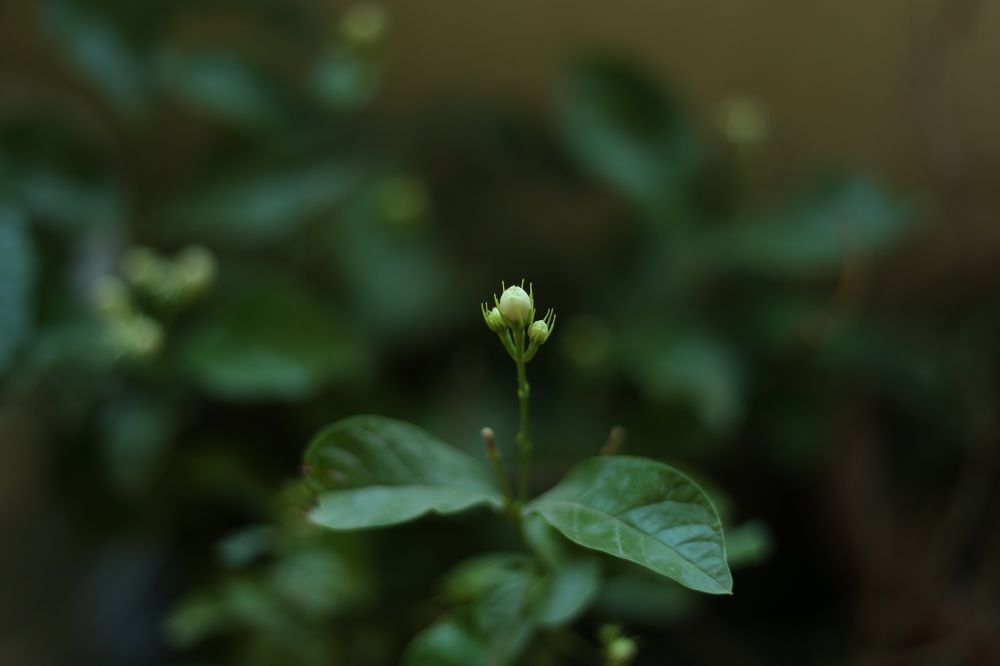 Photograph by Eslam Ahmed