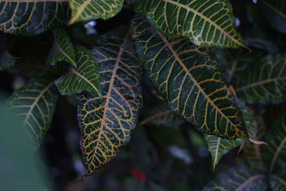 Photograph by Eslam Ahmed