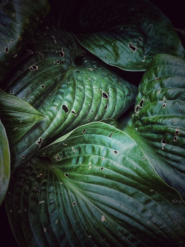 Photograph by Олеся Хижко