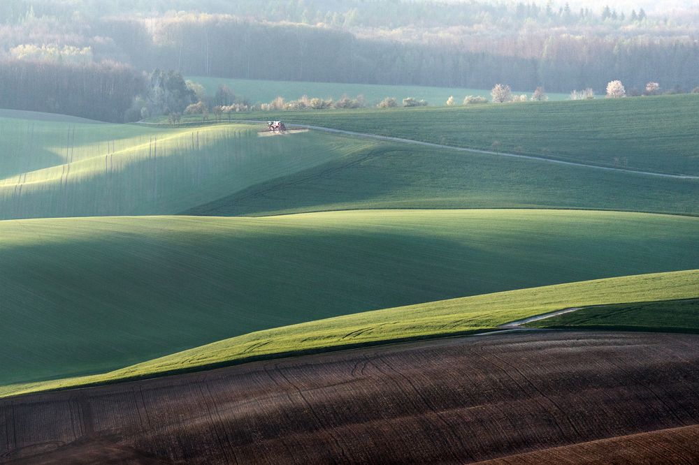 Photograph by Крицак Ольга