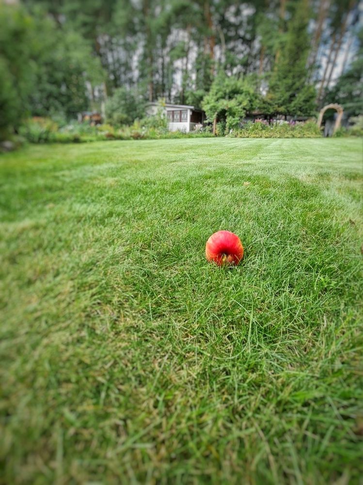 Photograph by Наталья Иванова