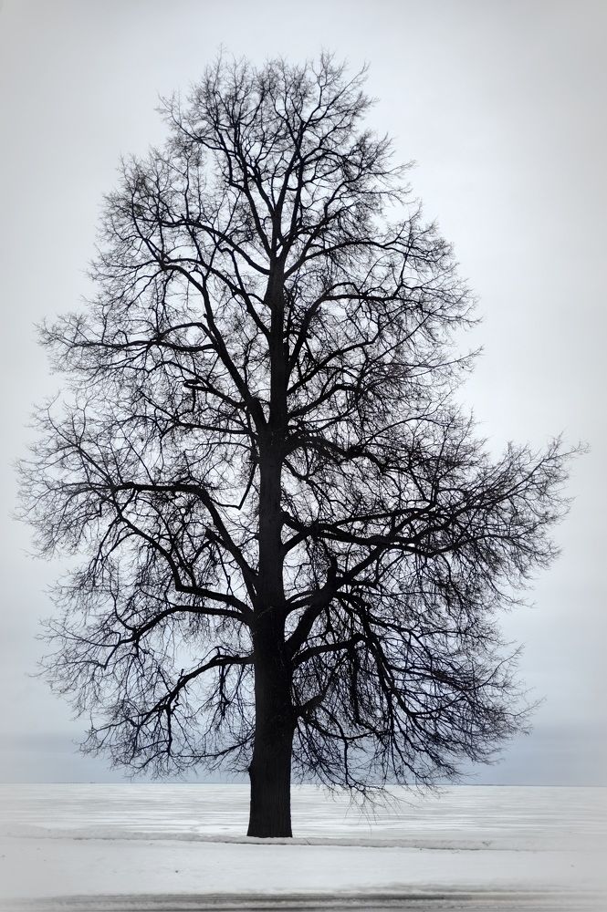 Photograph by Александр Вавулин