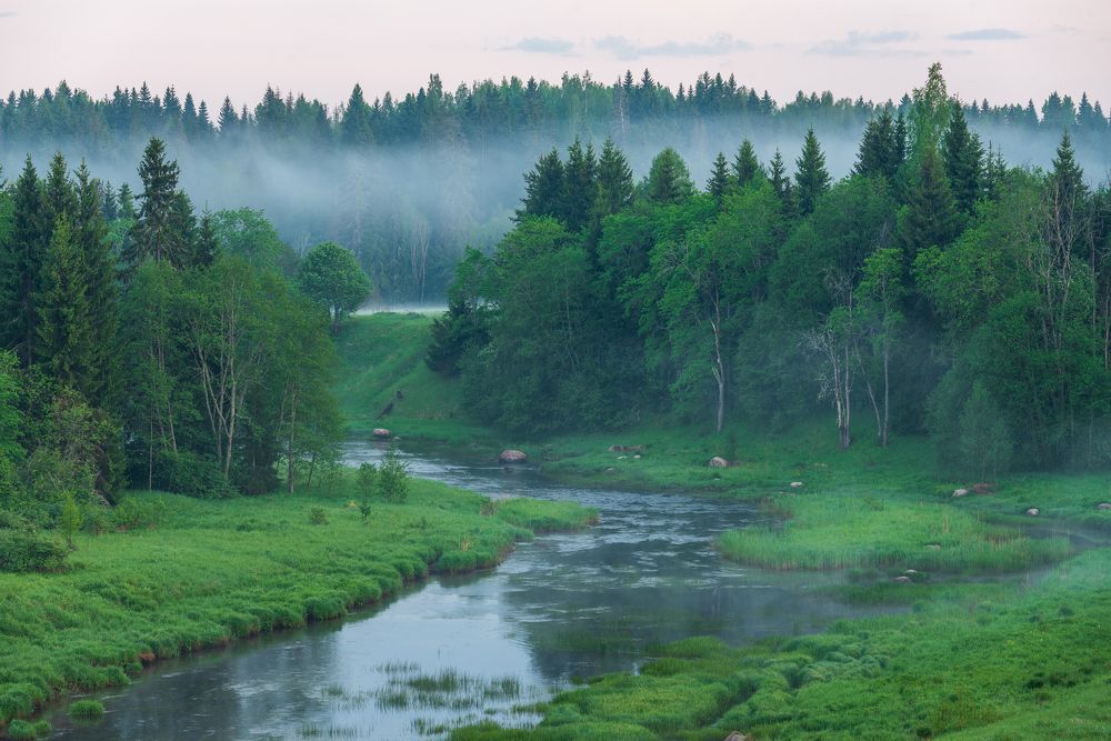 Photograph by Крицак Ольга