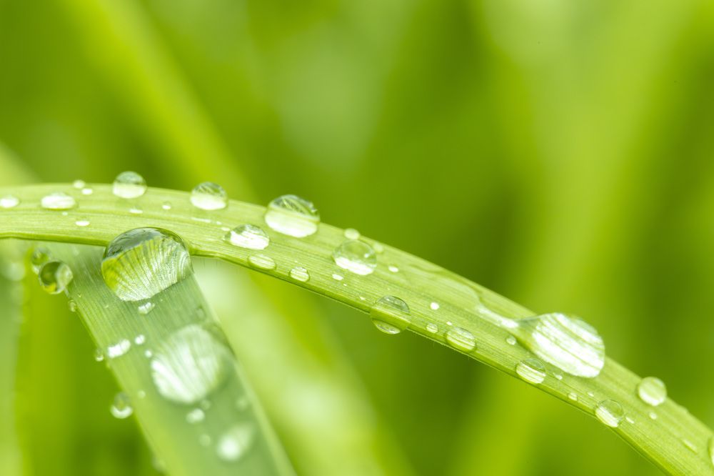 Photograph by Максим Григорьев