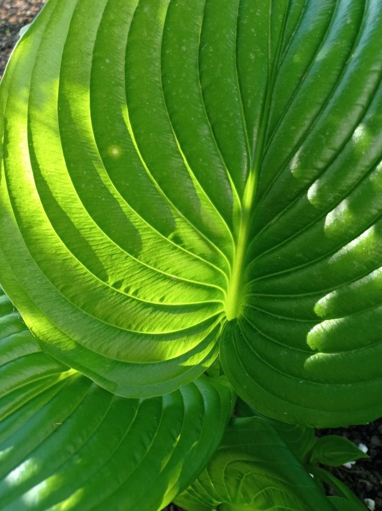 Photograph by Ирина Марченко