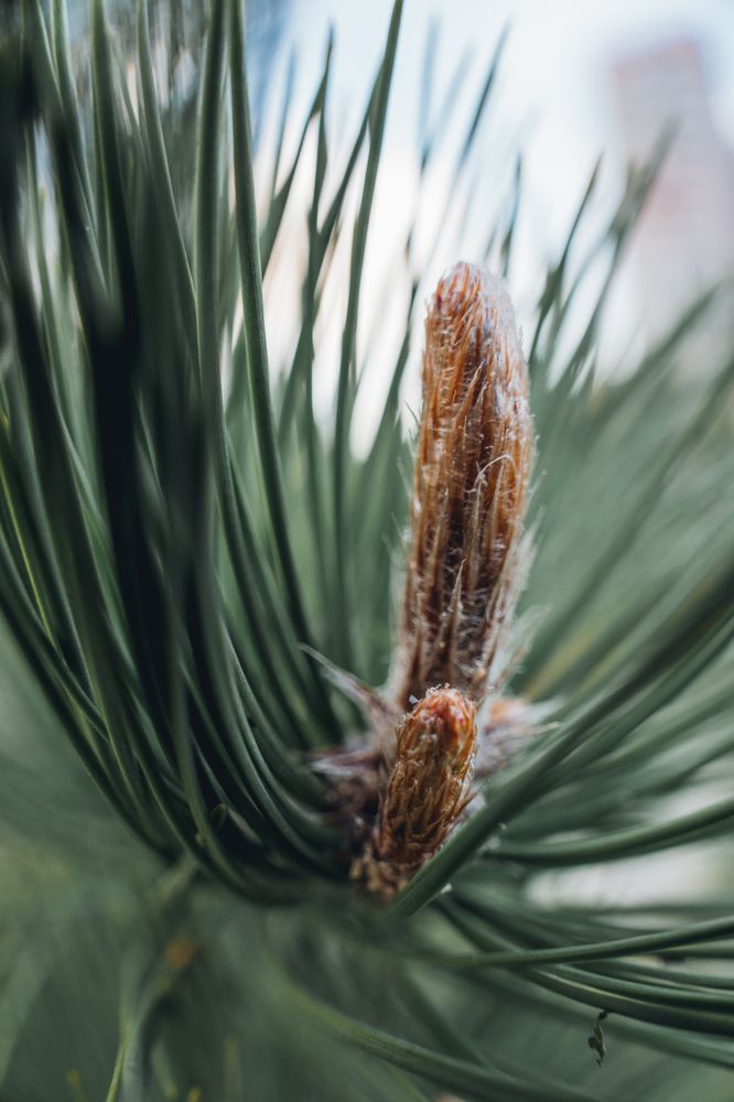 Фотография автора Вячеслав Афанасьев
